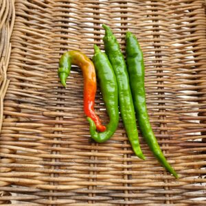 Piments des landes bio