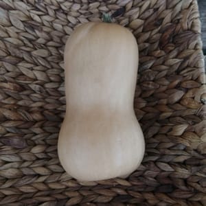 butternut bio